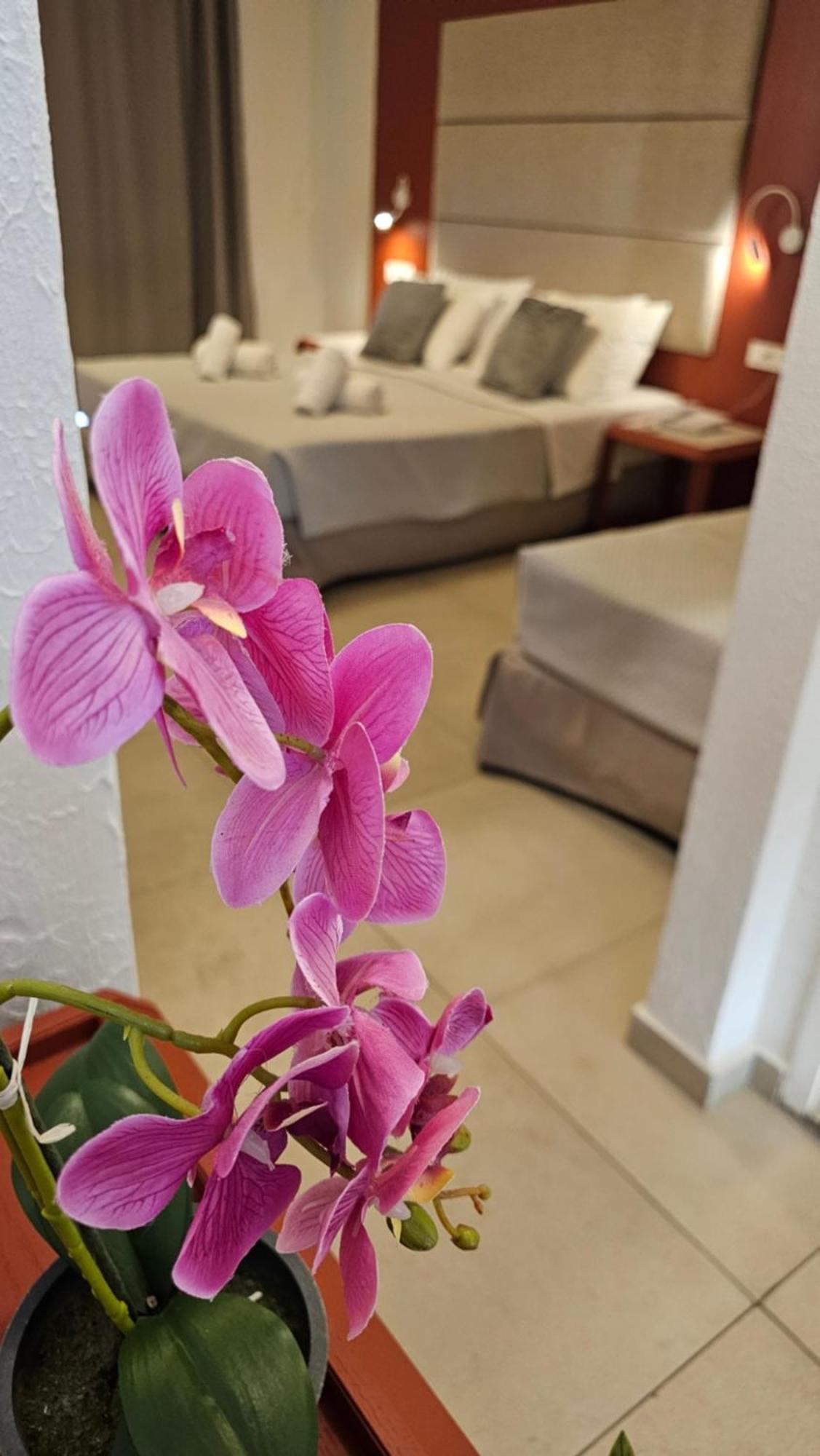 Atlantis Boutique City Hotel Rhodes City Εξωτερικό φωτογραφία