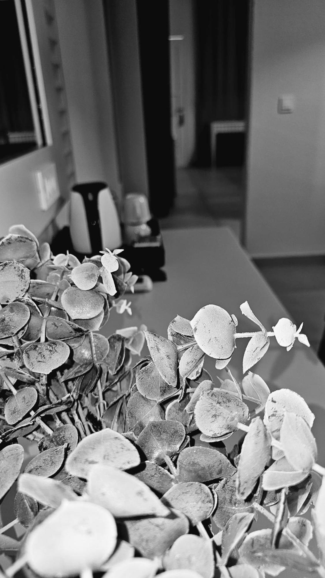 Atlantis Boutique City Hotel Rhodes City Εξωτερικό φωτογραφία